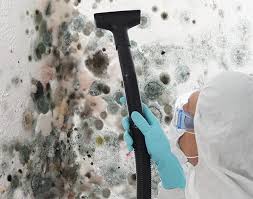 Best Asbestos and Lead Testing During Mold Inspection  in Baytown, TX